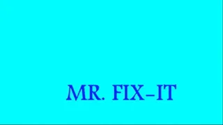 Mr. Fix It