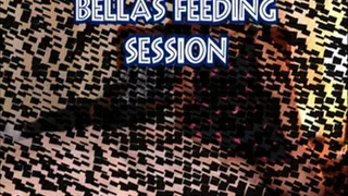 Bella's Feeding Session