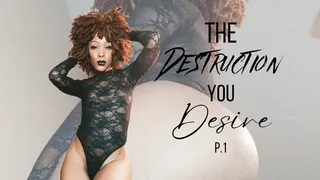 The Destruction you Desire P1