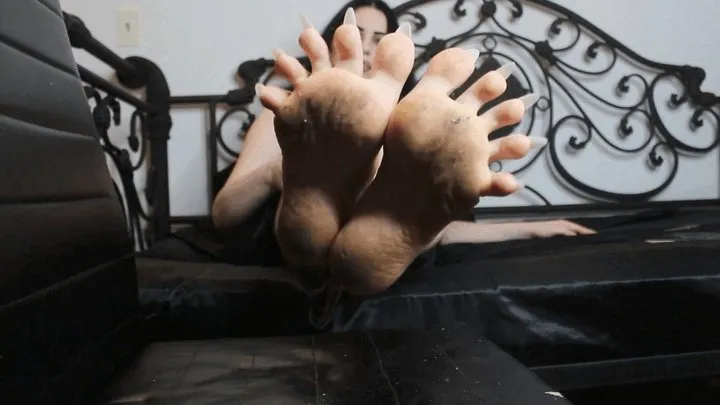 M - Pointy Long Toenails In Your Face dirty soles