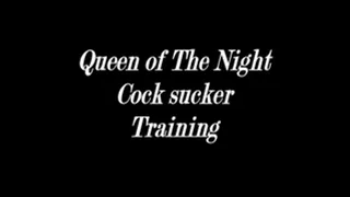 Cock Sucker Training Video