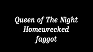 Homewrecked faggot Video