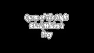 Black Widow's Prey Video