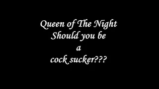 Should you be a cock sucker Video