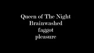 Brainwashing: Faggot Pleasure Video