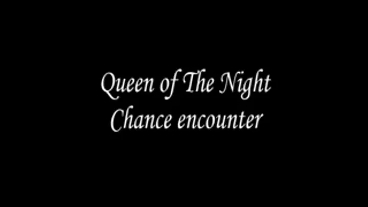 Chance Encounter Fantasy Video