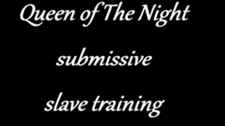 Slave Training Strap-on Video