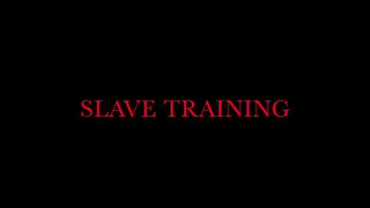 Slave Training