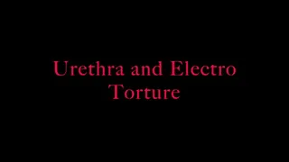 Urethra and electro torment