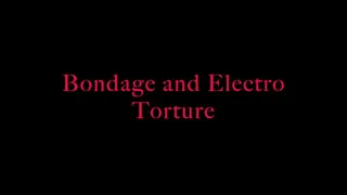 Electro shock bondage