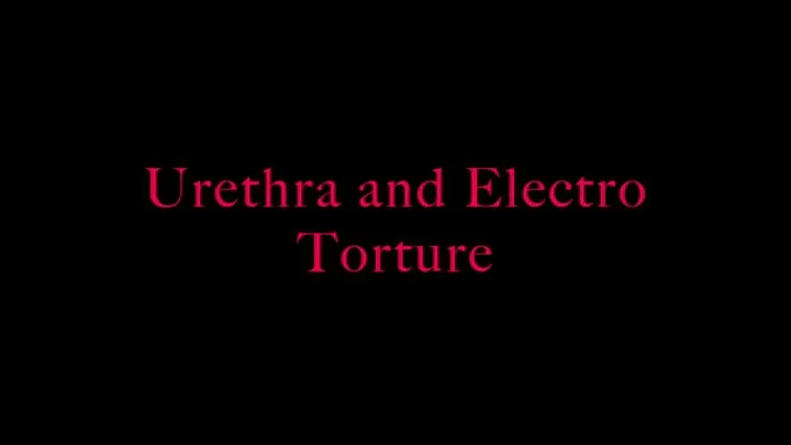 Urethra electro torment