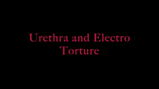 Urethra electro torment