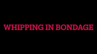Bondage and Whipping