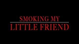 Giant Mistress smokes her tiny friend- mV