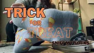 Trick or Treat Sniff My Socks