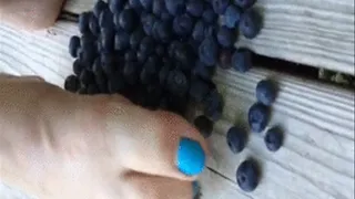 making Blueberry jam