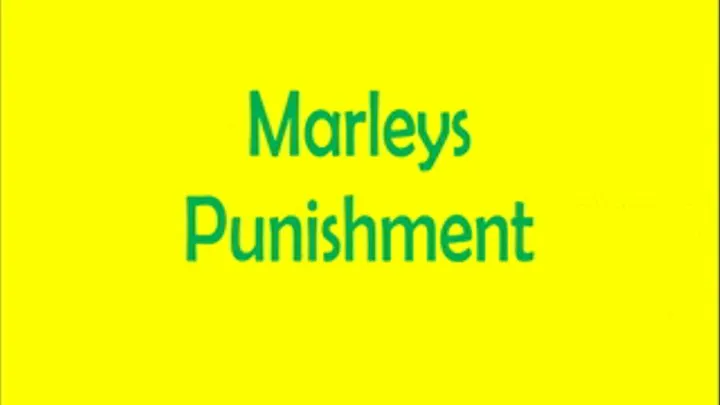 Marley's Punishment