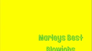Marleys Best Blowjobs #1