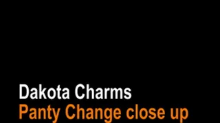 Dakota Charms Panty change front view