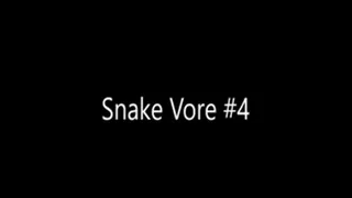 Snake Vore #4