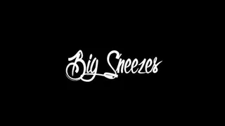 Big Sneezes