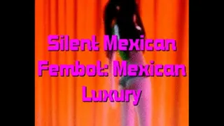 Silent Mexican Fembot: Mexican Luxury