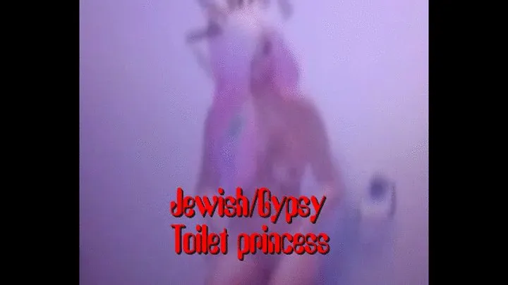 Jewish-Gyspy Toilet Princess