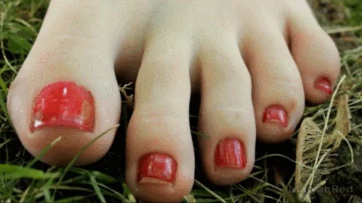 Toes close up