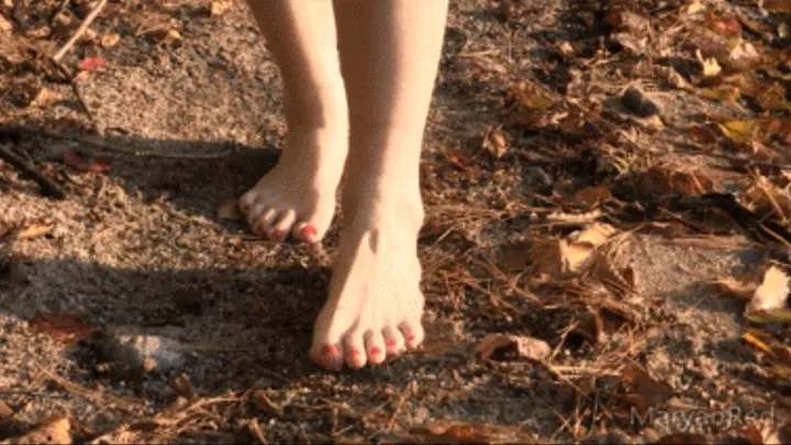 Playing in the sand with long feet next to a lake