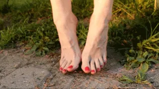 Slender feet