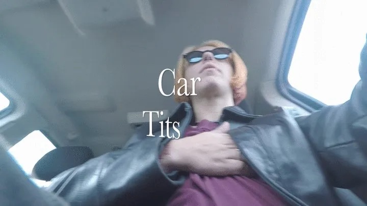 Exhibitionist Car Tits