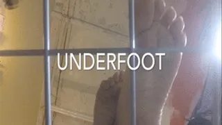 TRAMPLE!! (FOOT FETISH FRIDAY FEBRUARY)