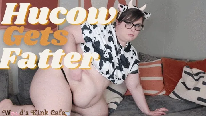 Make Your BBW Hucow Fatter