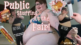 Public Stuffing at the Fair (Storytime)