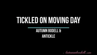 Autumn is Tickled on Moving Day