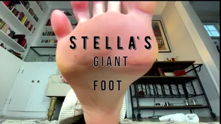 Stella's Giant Foot