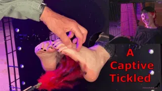 A Captive Tickled - Smokin Rose Foot Tickling Slave Tickling Feet in Stocks Tickling Domination M Tickling F Tickling Challenges Caged Woman MOBILE