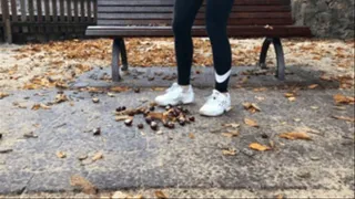Sneaker-Girl Lilly - Crushing some Chestnuts