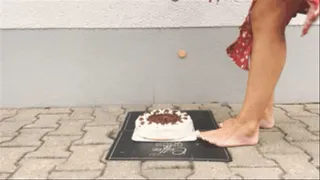Sneakergirly Paula - Cake Crush