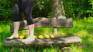 Sneaker-Girl Darleen - Lemons on Wooden Bench