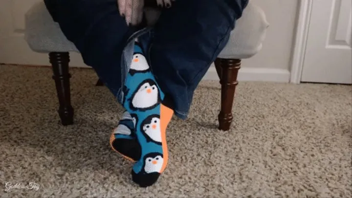 PERFECT SOCKS