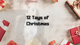 12 Tays of Christmas day 9 Princess Penguin