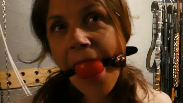 BIG BALLGAG, SHINY HUNTERS HD