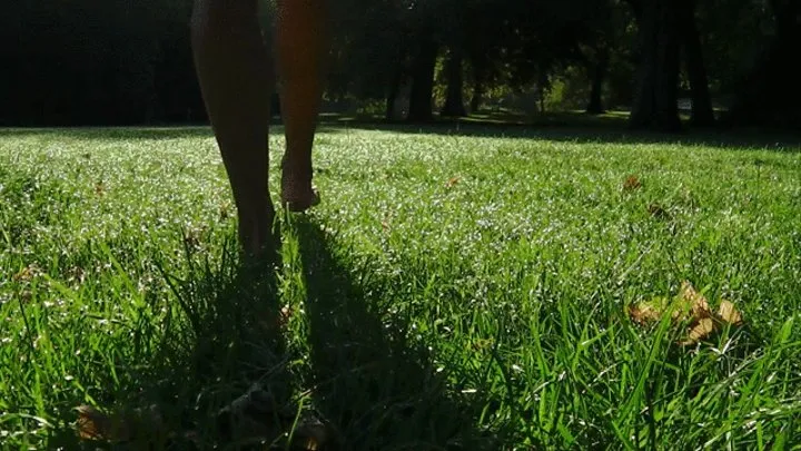 Summer morning barefoot