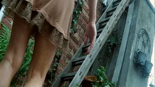Barefoot on the ladder