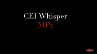 CEI Whisper MP3