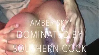 Amber Sky Dominated By Southern Cock