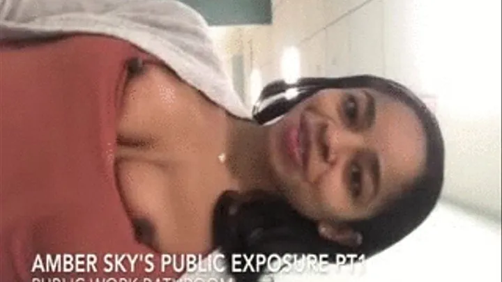 Amber Sky's Public Exposure Pt1: Work Bathroom