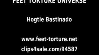 Hogtie Bastinado full video