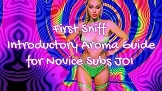 First Sniff - Introductory Aroma Guide for Novice Subs JOI